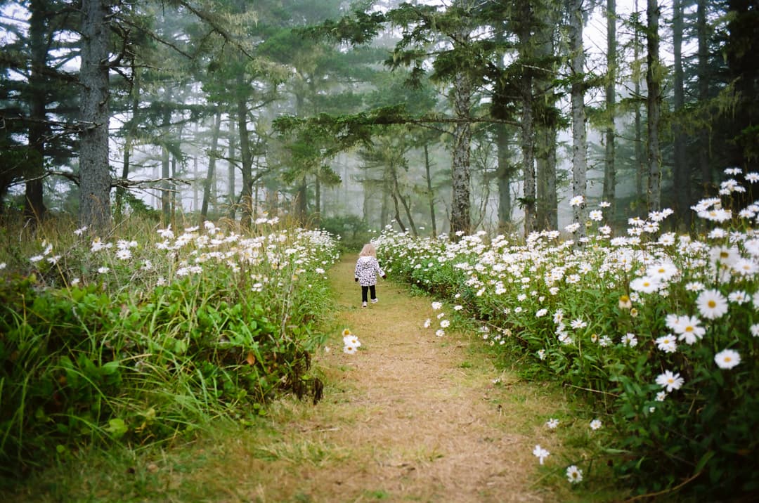 Picture of a little girl in a field